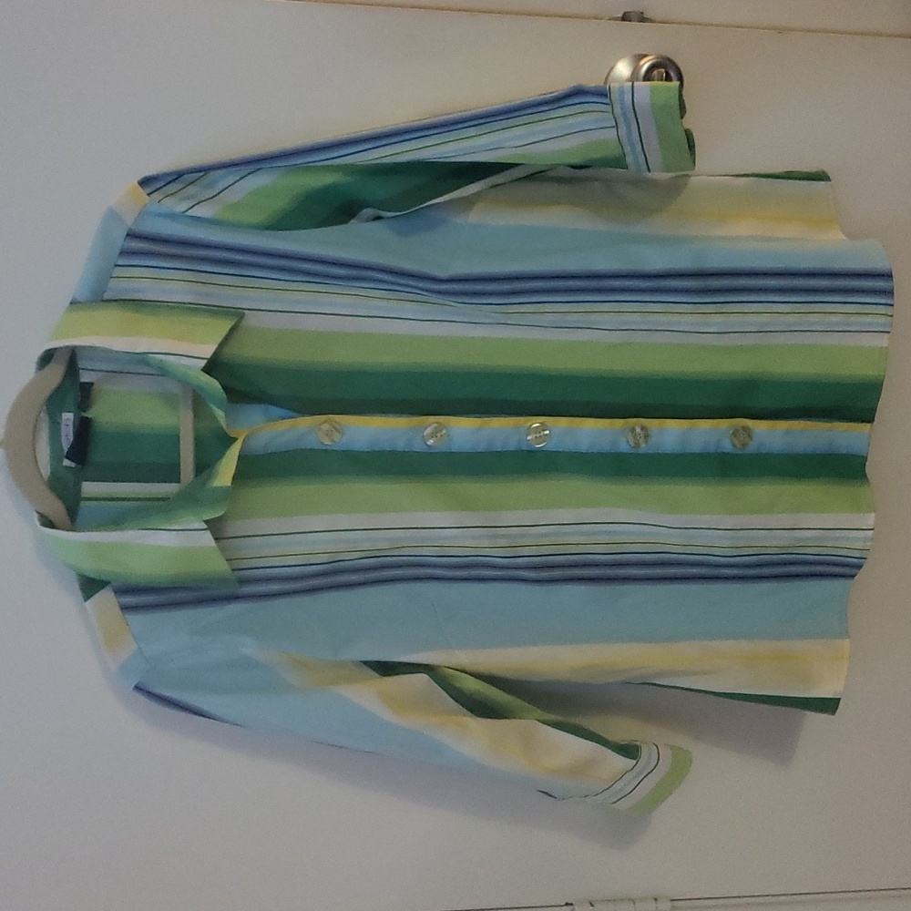Cotton Express- striped button up shirt, size 2X